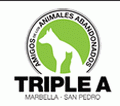 Triple A Logo1