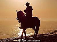 Reiter am Strand